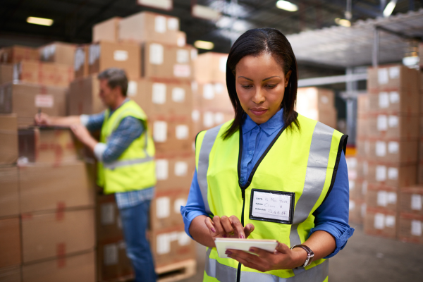 Especialista em Logística