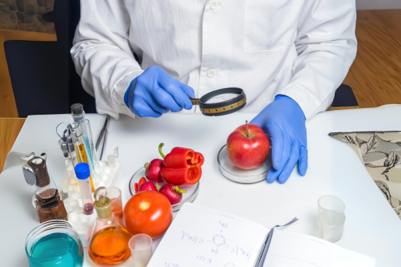 Consultor de segurança alimentar